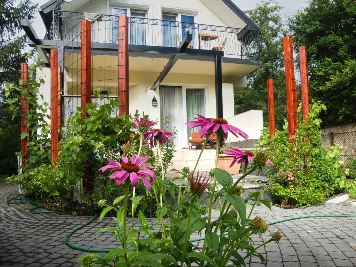 Villa Hasaba كروتشيينكو المظهر الخارجي الصورة