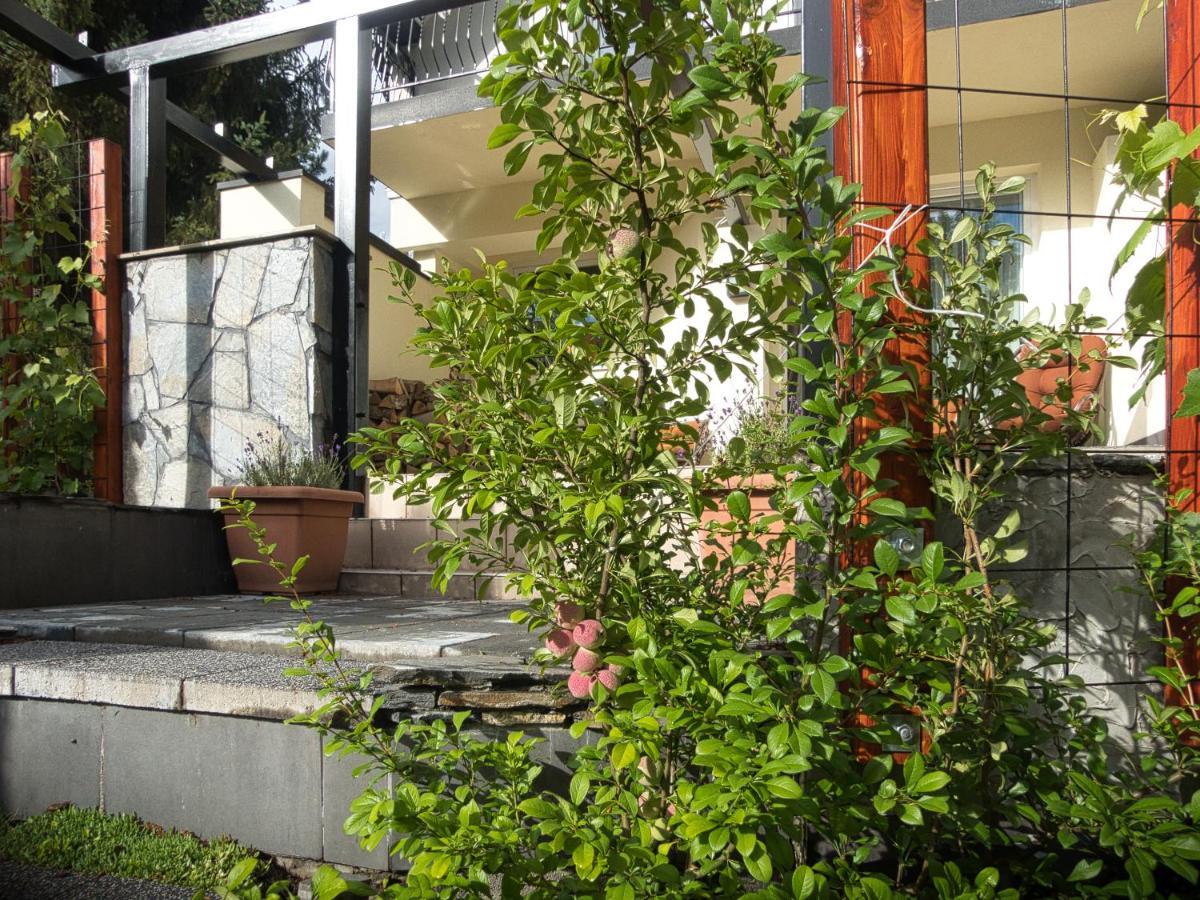 Villa Hasaba كروتشيينكو المظهر الخارجي الصورة