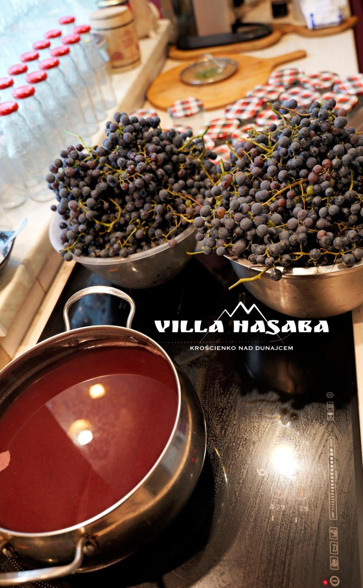 Villa Hasaba كروتشيينكو المظهر الخارجي الصورة